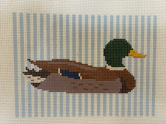Mallard on Blue and White Stripe