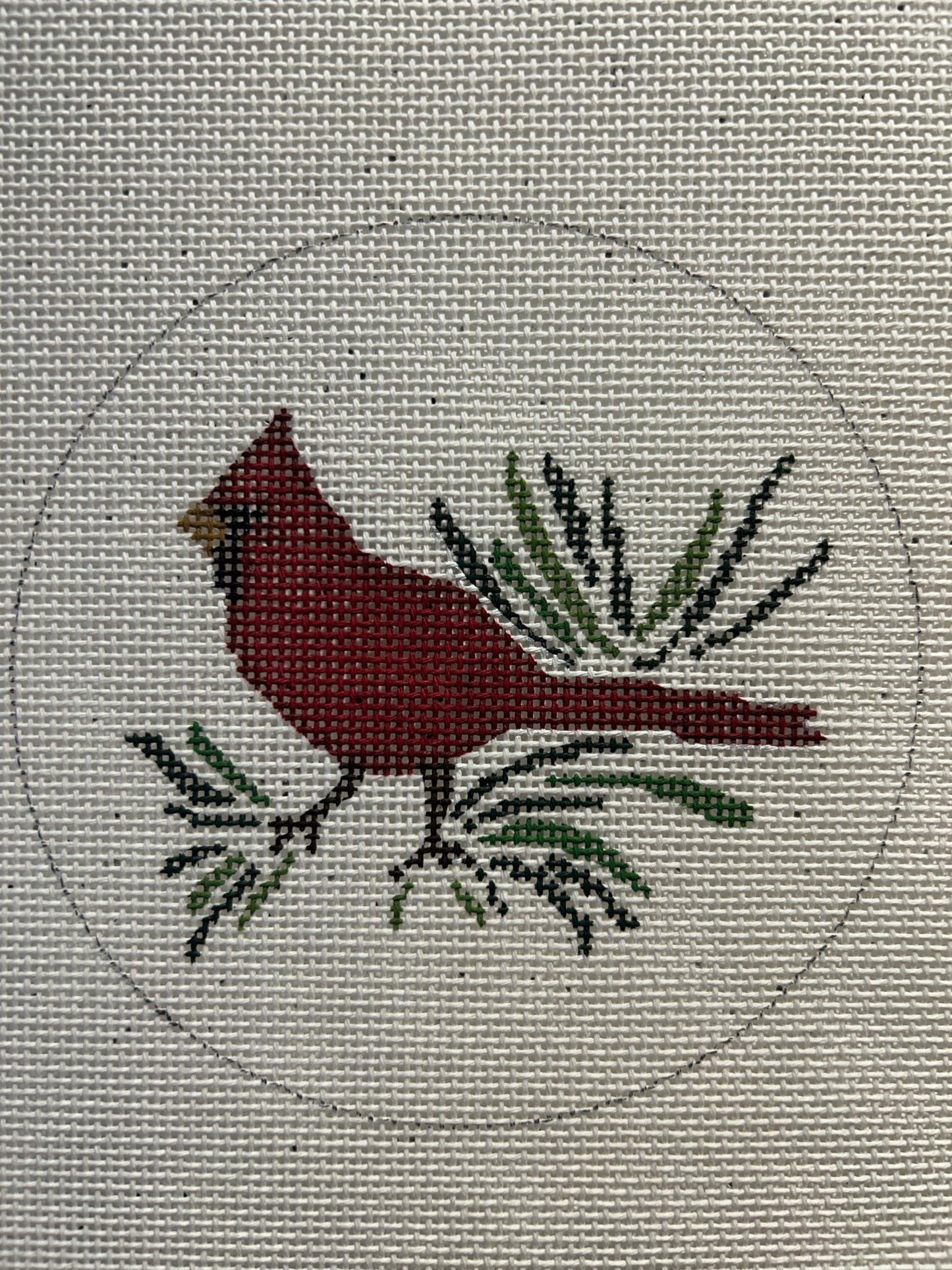 Red Cardinal on branch