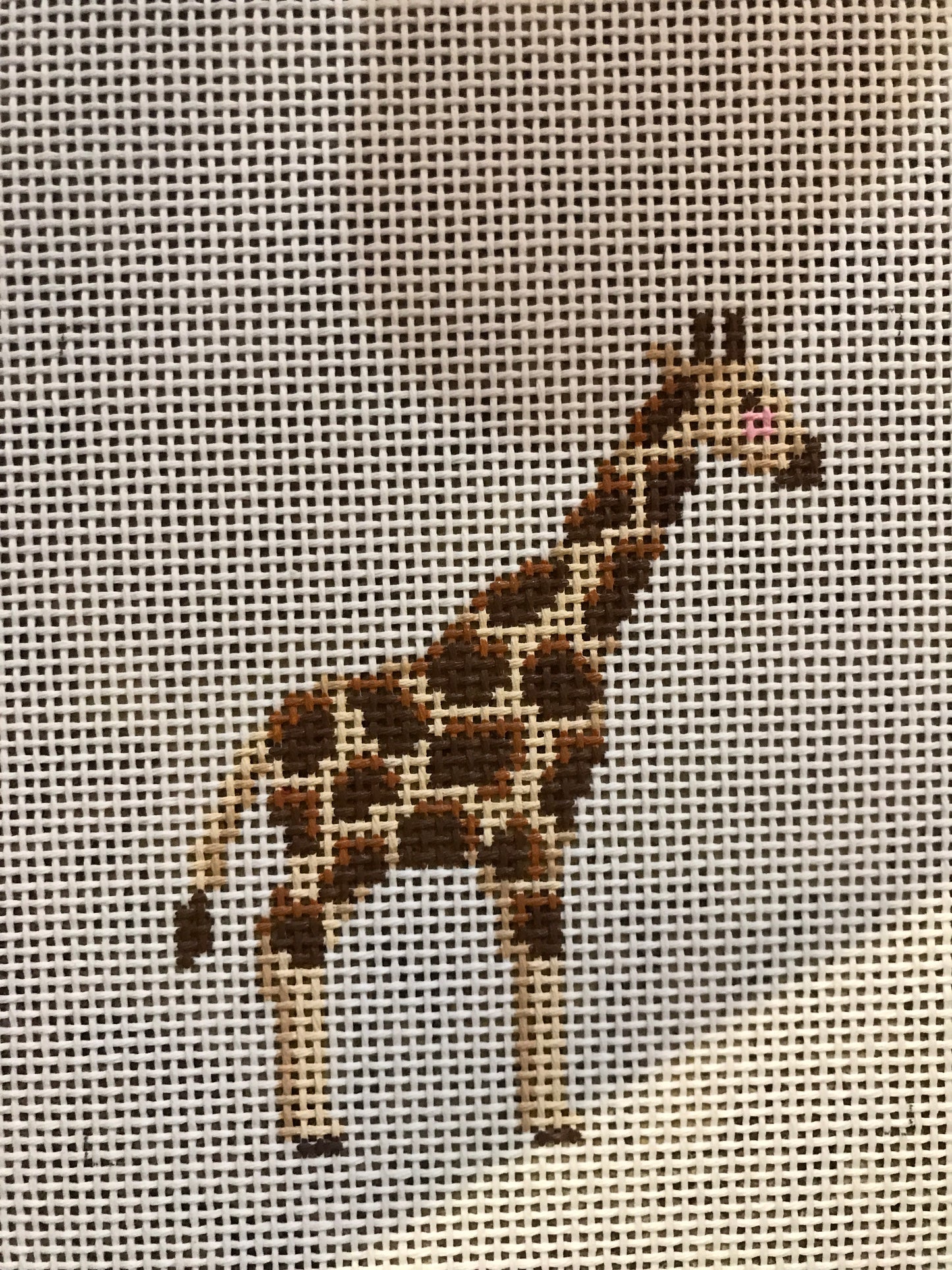 Baby Giraffe