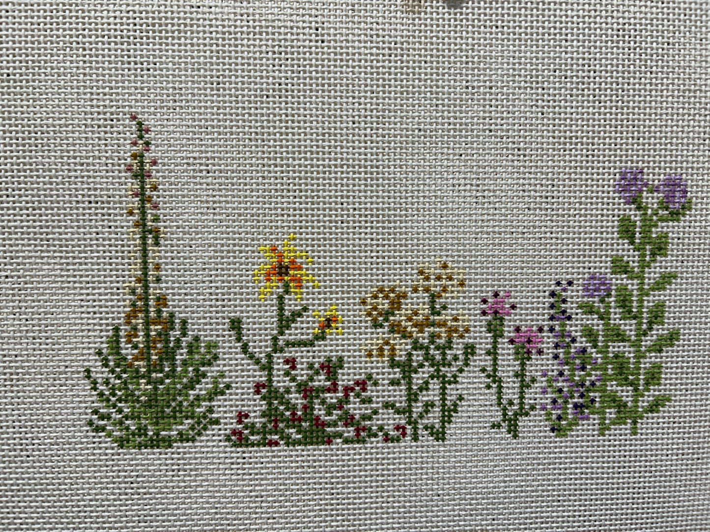 Kansas Wildflowers