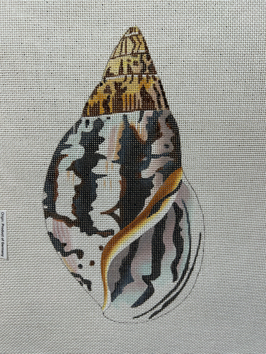 Seashell Front