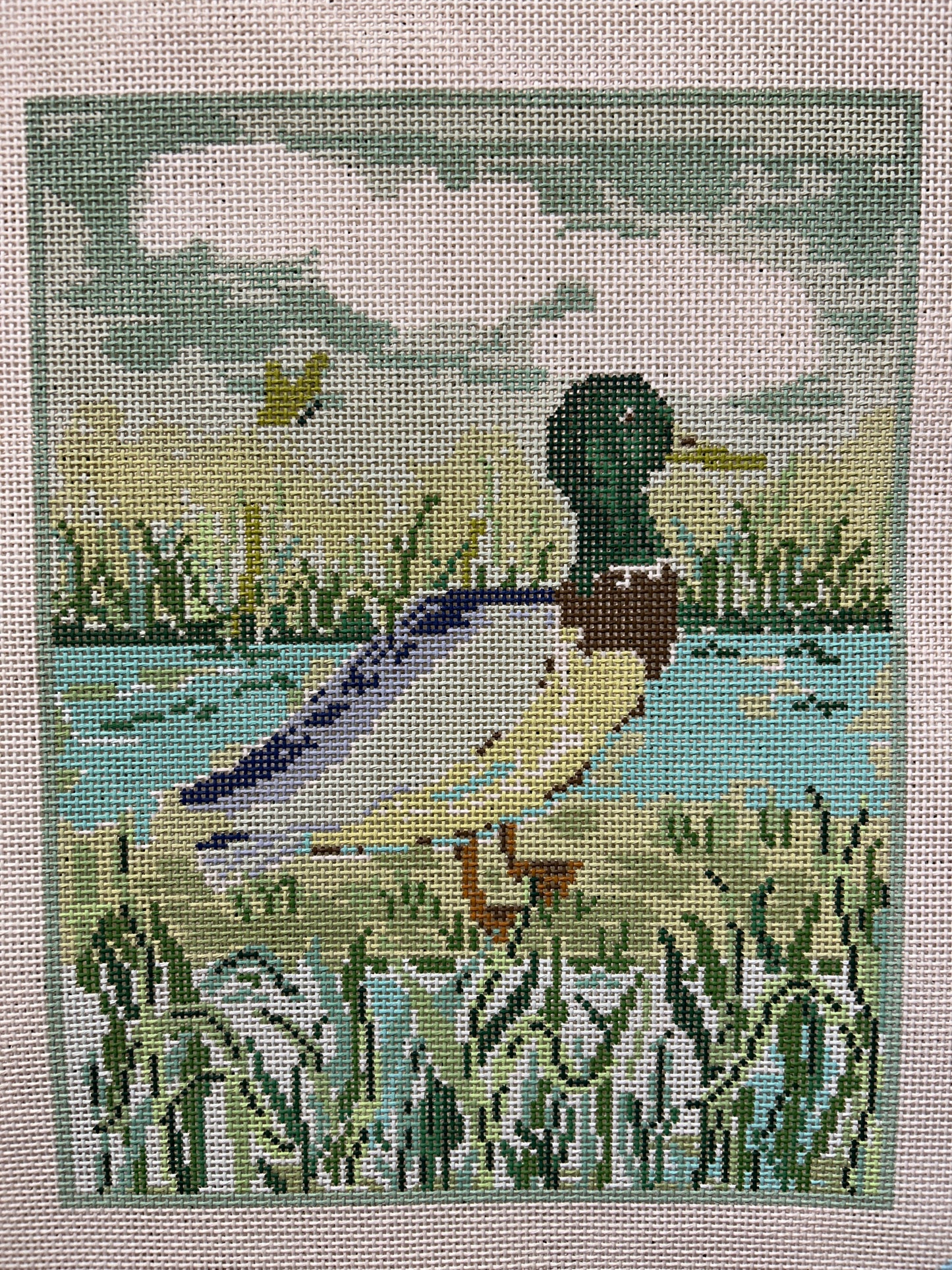 Mallard Walk