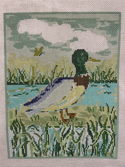 Mallard Walk