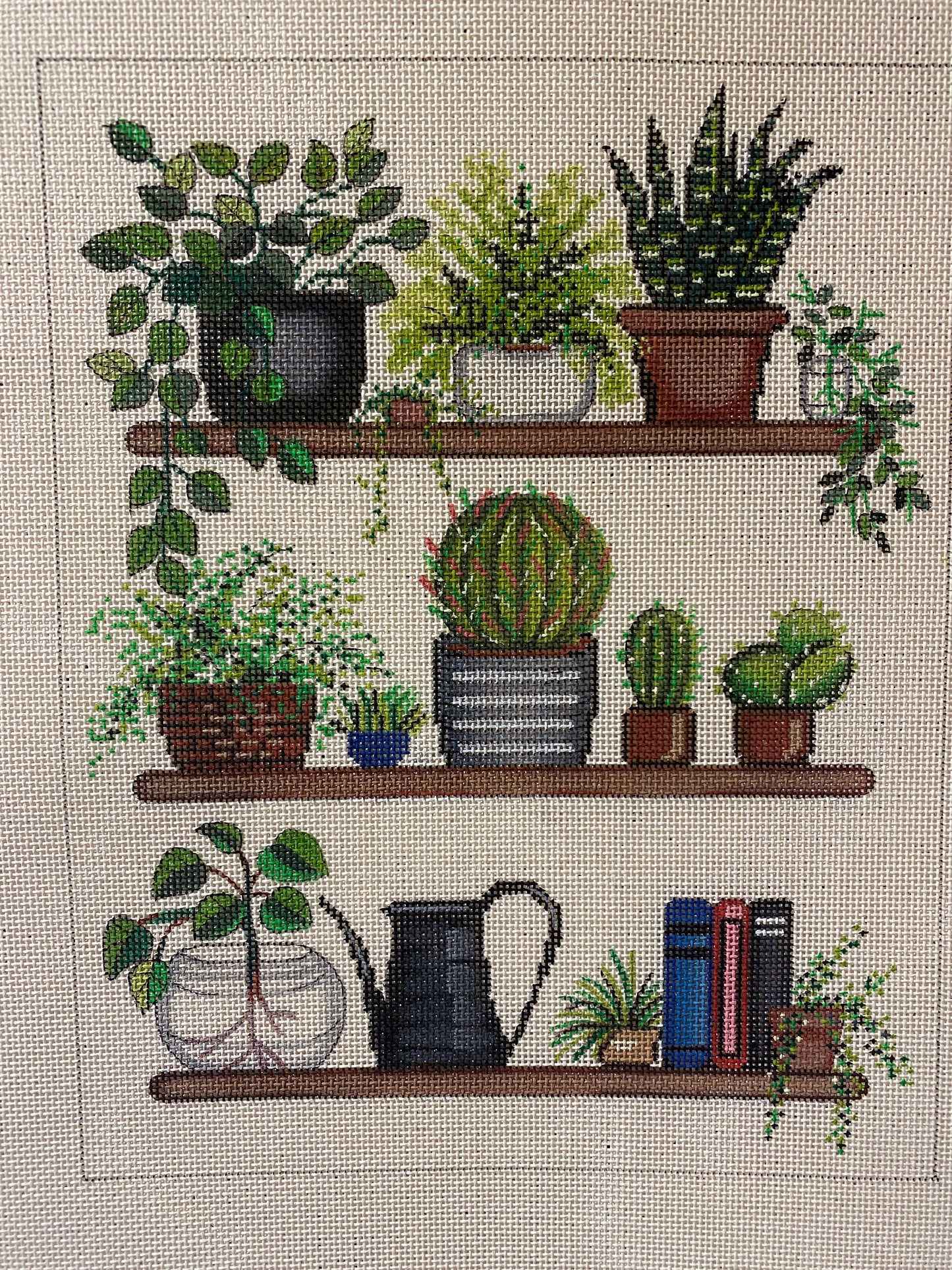 Plants on Shelves