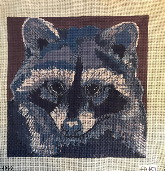 Raccoon Canvas