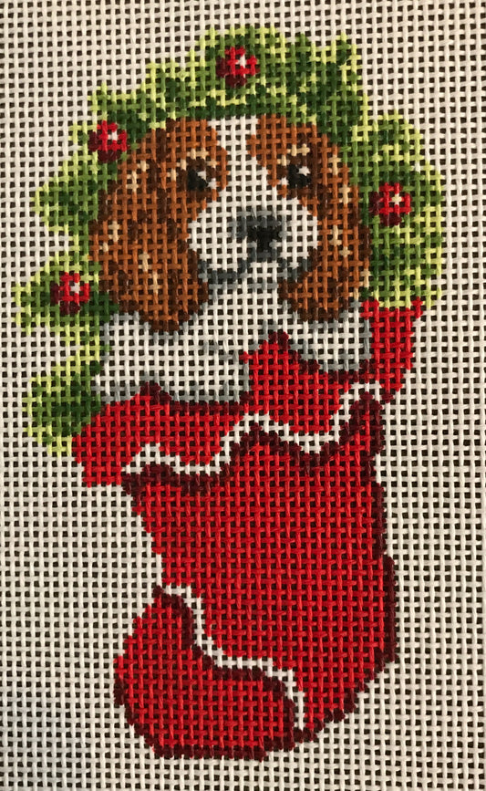 Cavalier in Stocking