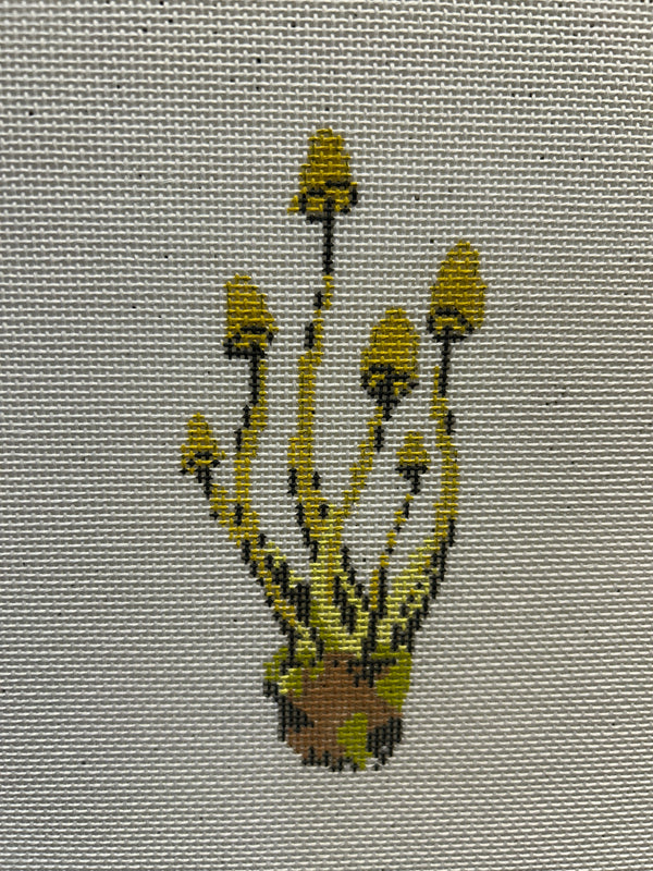 Mushroom Series - HOney