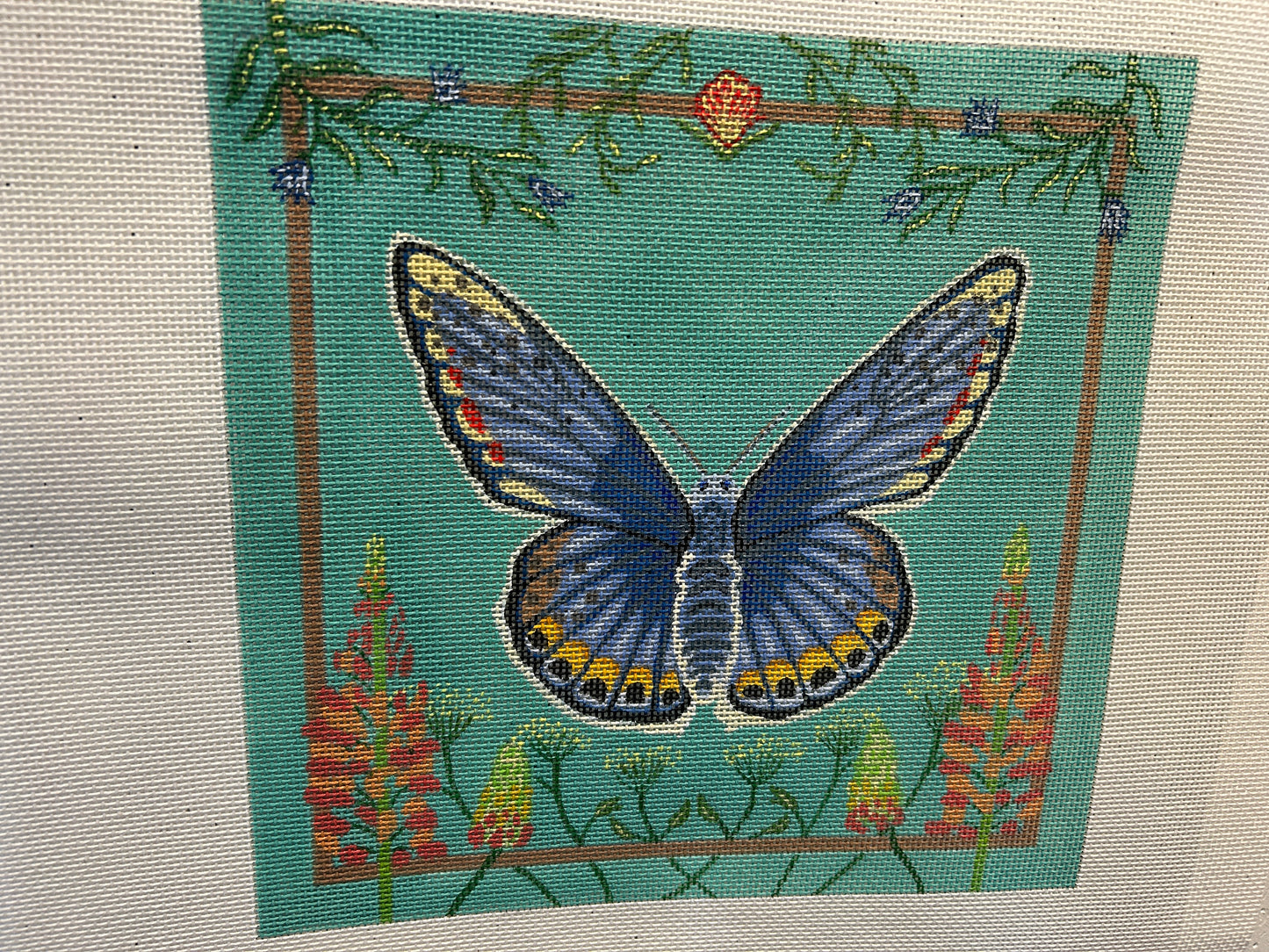 Blue Butterfly