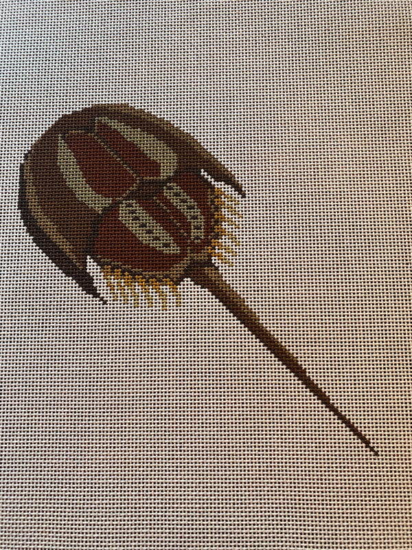 Horseshoe Crab