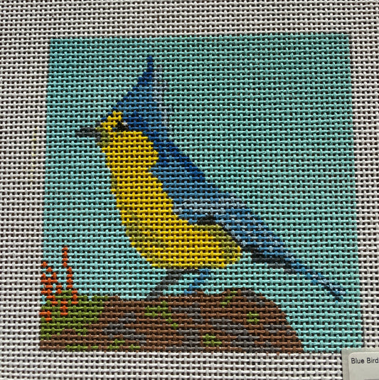 Blue Bird with Yellow Breast