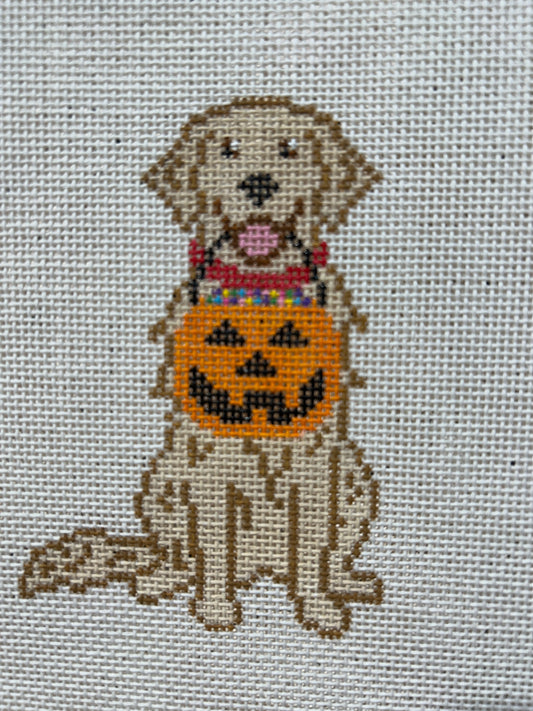 Halloween Dog - Golden Retreiver