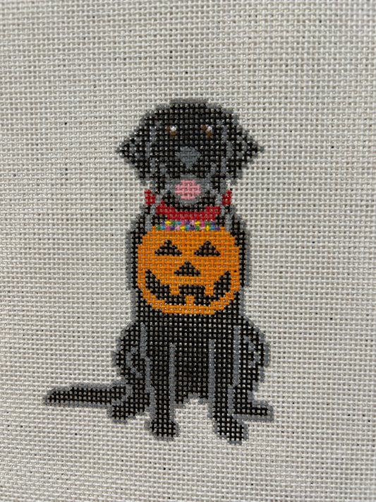Halloween Dog - Black Lab