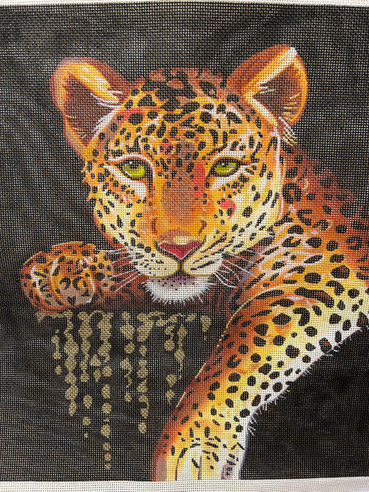 Leopard on Black