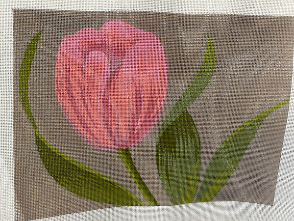 Pink Tulip