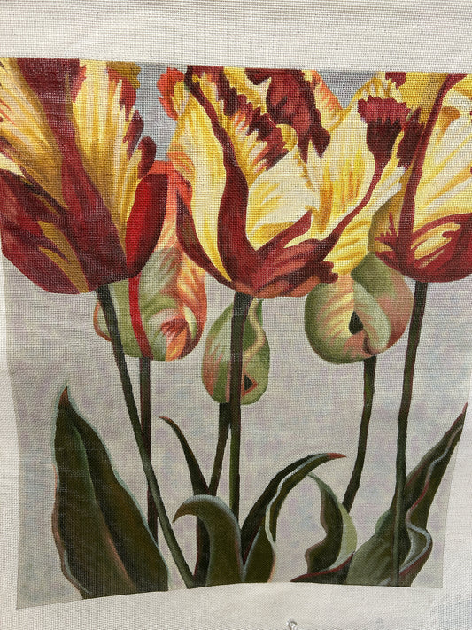 Parrot Tulips - Maroon and Yellow