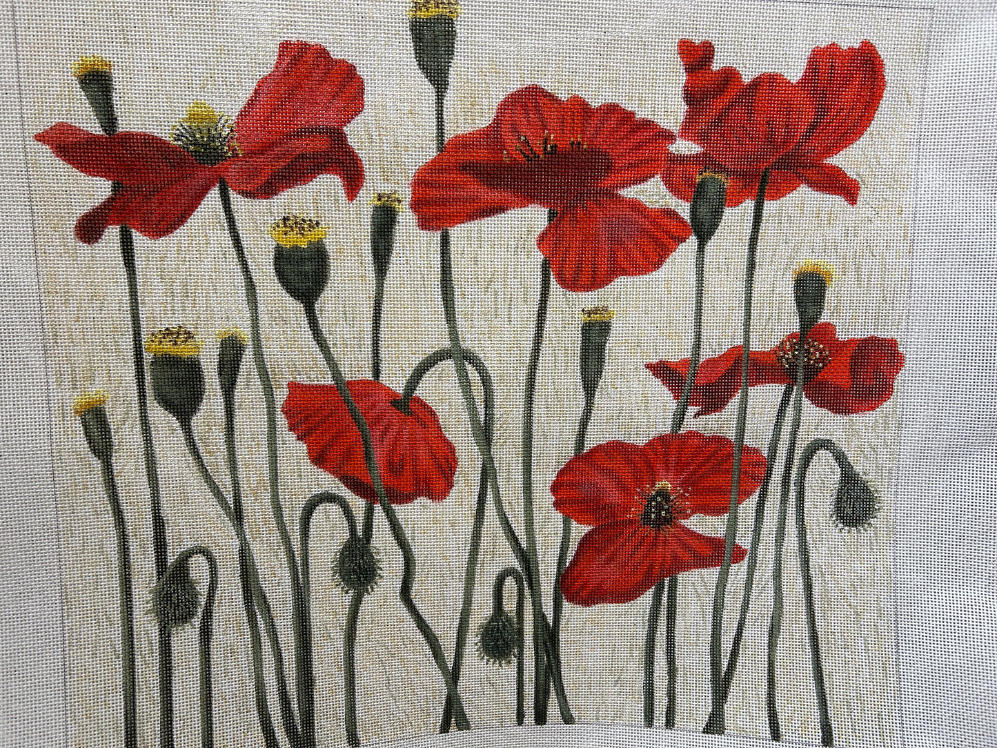 Poppies - Liz