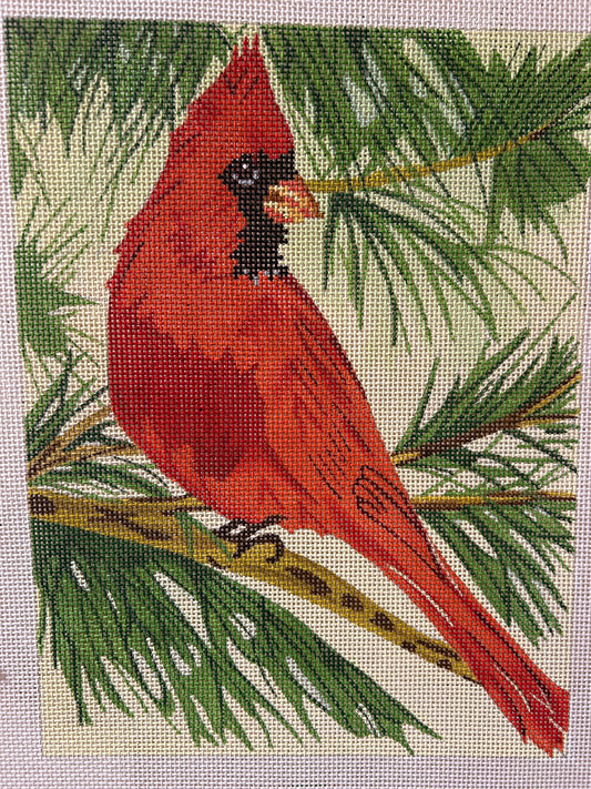 Red Bird Sitting in Tree