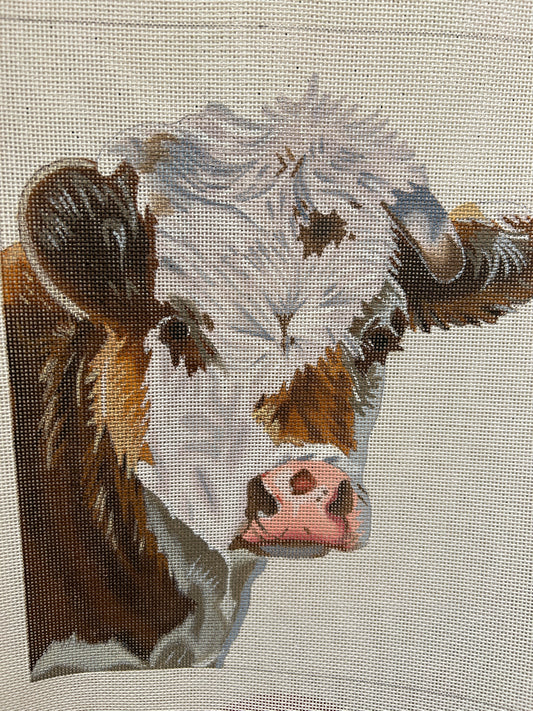 Cow Portrait