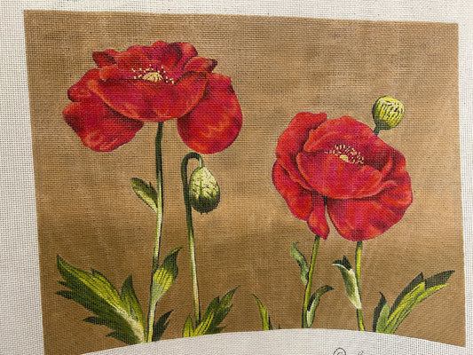 Two Red Poppies