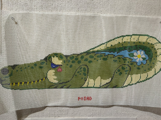 Alligator