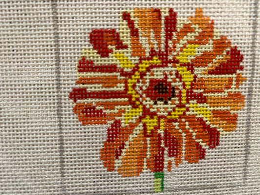 Orange Zinnia