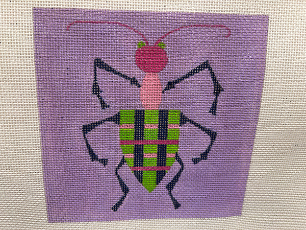 Pink Headed Stink Bug