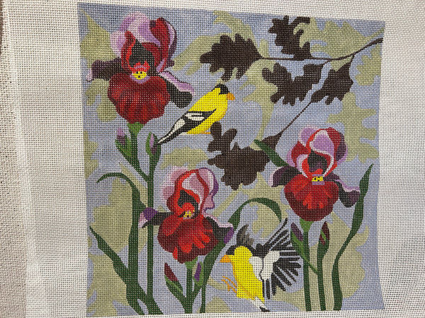 Irises with FInches