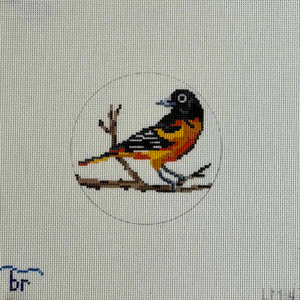Baltimore Oriole