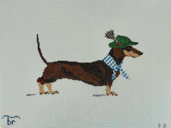 Dackel (Dachshund) on 13 mesh