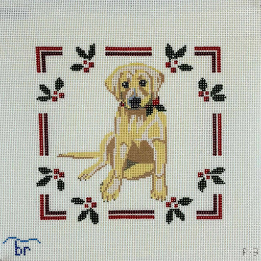 Yellow Lab Puppy with Holly