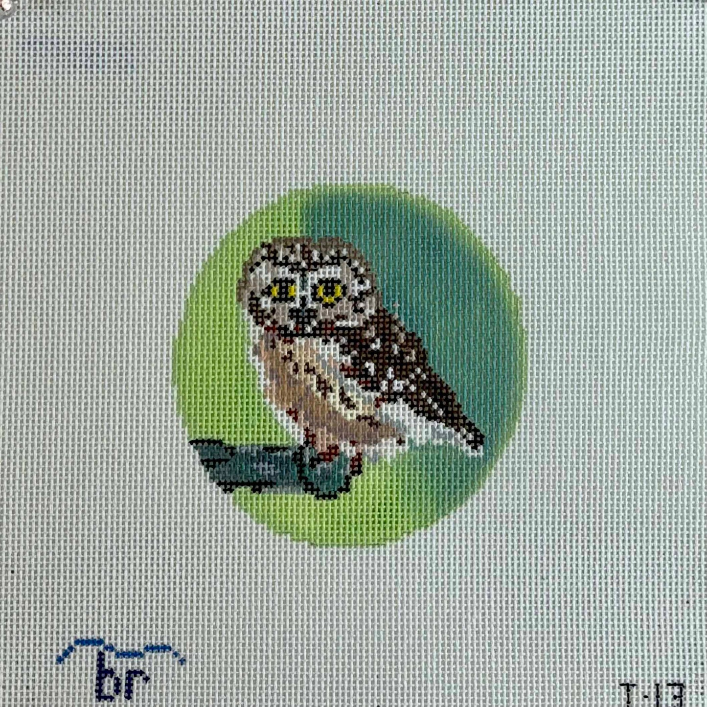 Rocky (Saw Whet Owl)