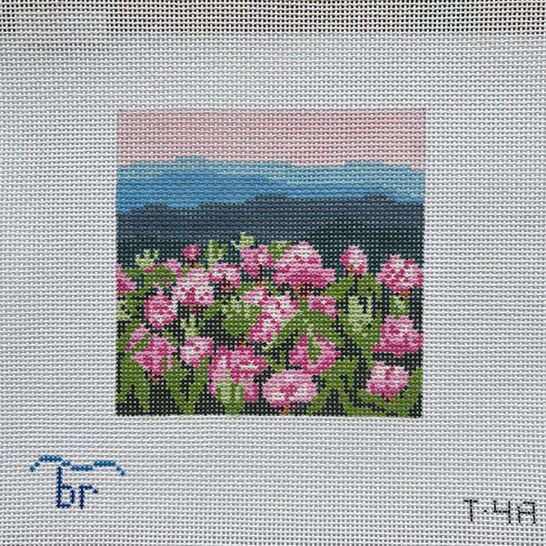 Rhododendron Mtn (13m square)